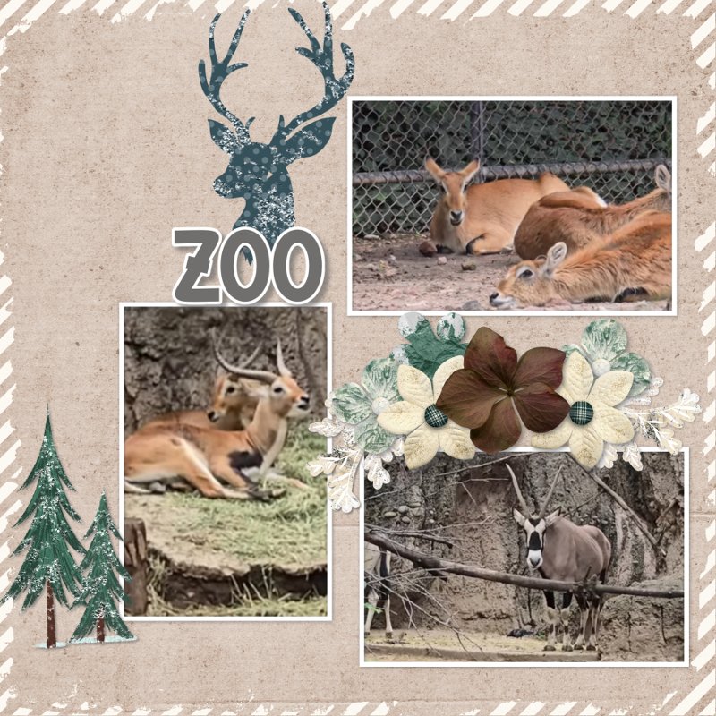 Zoo.jpg