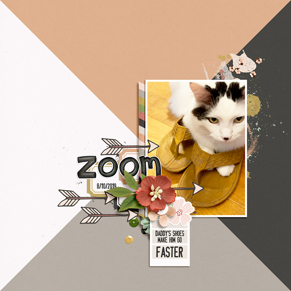 Zoom